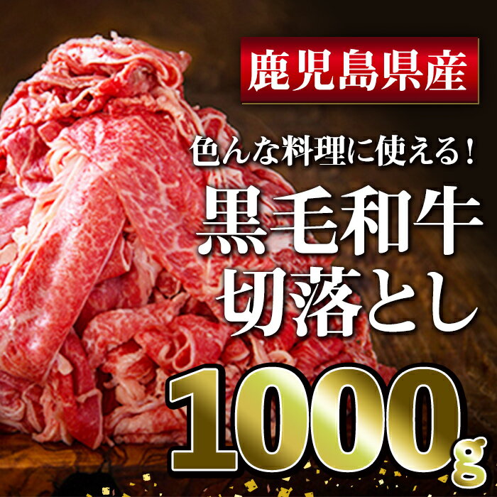 鹿児島県産 黒毛和牛 切り落とし 1000g(500g×2パック)和牛 牛肉 肉 赤身 国産 冷凍 小分け 切り落とし ウデ モモ カレー シチュー 牛丼[ことぶき精肉店]