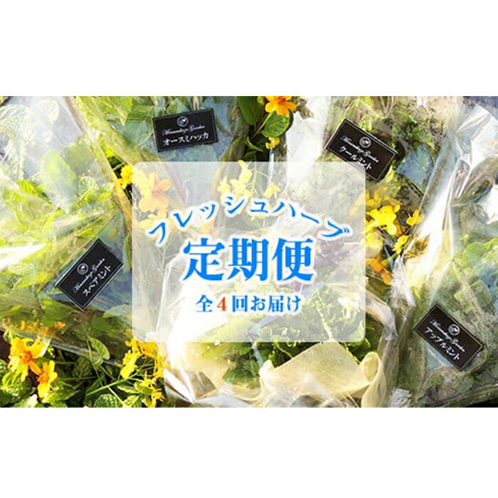 [定期便全4回]南風の丘から 朝摘みハーブの定期便 計200g[ミント30g×3種+各種ハーブ30g+ブーケ80g]×4回 鹿児島 フレッシュハーブ[南風農菓舎・デザートハウス]