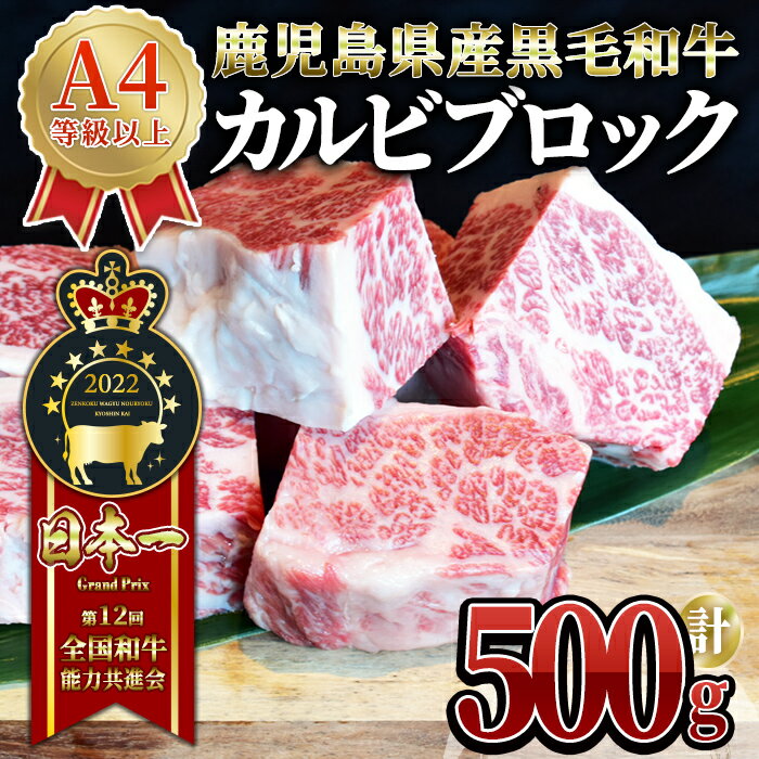 うしの中山 カルビ ブロック 500g 和牛 黒毛和牛 ステーキ バーベキュー ローストビーフ[株式会社nixy 中山亭 鹿屋店]