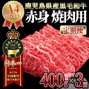 【ふるさと納税】【定期便3回】うしの中山 赤身 焼肉（ 400g × 3回 ）和牛 黒毛和牛 バーベキュー A4 A5 国産 定期便【株式会社nixy 中山亭 鹿屋店】