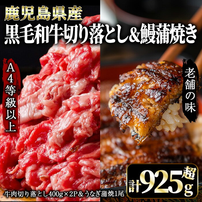 [土用の丑の日対応7/7入金まで]鰻も牛もどっちもイエェェェーイ!セット1 [うなぎ蒲焼(有頭)1尾 (約125g〜150g)、鹿児島県産 黒毛和牛 切り落とし 800g(400g×2パック)] うなぎ 鰻 ウナギ 黒毛和牛 牛肉[株式会社nixy 中山亭 鹿屋店]