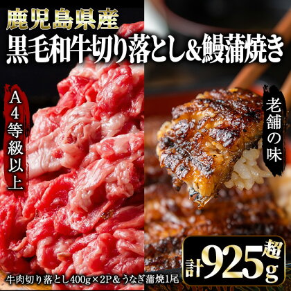 【土用の丑の日対応7/7入金まで】鰻も牛もどっちもイエェェェーイ！セット1 [うなぎ蒲焼（有頭）1尾 （約125g～150g）、鹿児島県産 黒毛和牛 切り落とし 800g（400g×2パック）] うなぎ 鰻 ウナギ 黒毛和牛 牛肉【株式会社nixy 中山亭 鹿屋店】