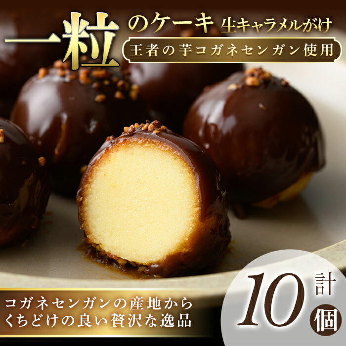 一粒のケーキ 10個 (5個×2箱) 唐芋 芋菓子 洋菓子 お誕生日 バレンタイン ホワイトデー 父の日 母の日 [(株)大隅半島農林文化村]