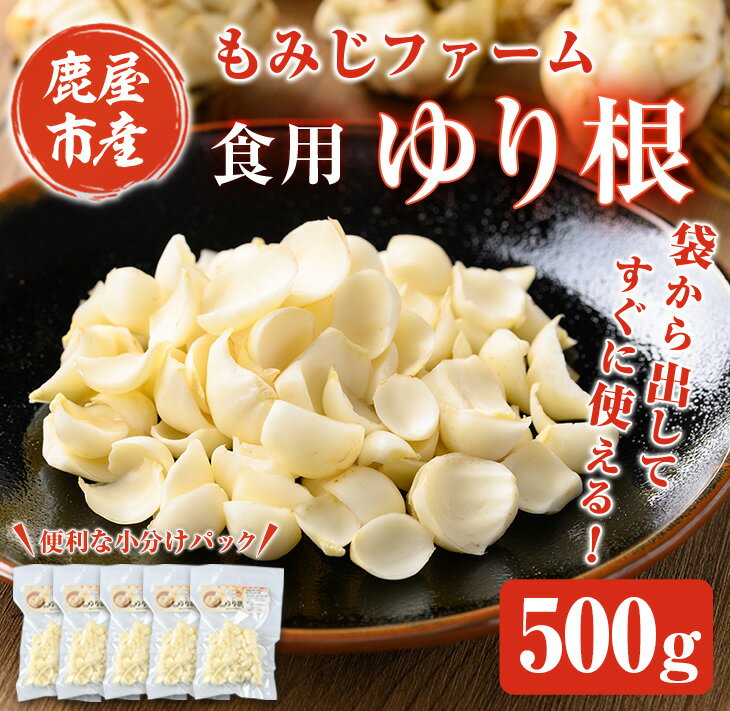 【ふるさと納税】ほくほくしてほんのり甘いゆり根500g(100g×5袋) 漢方にも使用される健康野菜をご家庭で！イモのようなホクホク食感の食用ユリ根 ゆりね 百合 びゃくごう 鹿児島産 栄養満点 真空 小分け 鹿児島県産 国産【もみじファーム】