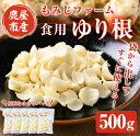 製品仕様 名称 ほくほくしてほんのり甘いゆり根500g(100g×5袋) 内容量 食用ゆり根500g（100g×5袋） 賞味期限 製造から1ヶ月（生もの） ※受け取り次第、冷蔵庫で保管してください。 アレルギー 無し 原産地 鹿屋市 加工地（製造地） 鹿屋市 原材料 ゆり根 申込期間 通年 配送方法 冷蔵 事業者名 もみじファーム 商品説明 薬膳料理の食材として知られるゆり根 茶碗蒸し・炊き込みご飯・サラダ・天ぷら・カレー・シチュー・グラタンなど多様にお使いいただけます。 サッと固ゆでして小分けにすると、冷凍保存も可能です。 ゆり根の主成分 ・炭水化物　～　身体に吸収され、エネルギーに変わります ・ビタミン　～　加熱によるビタミンCの損失が少ない ・カリウム　～　野菜のなかでも含有量トップクラス、鉄、リン、カルシウムも豊富 ・食物繊維　～　グルコマンナンが豊富で便秘や整腸に効果的 生薬　～　百合（びゃくごう）　～ ・心をリラックスさせ眠りをサポート ・肺や器官を潤し、整える ・肌に潤いを与え、乾燥が気になる季節にもおすすめ ○もみじファームの土作りのこだわり ゆり根を作る畑は、前年に緑肥の種を撒き、1メートル程になったころで土の中にすき込む方法で、循環型農業をおこなっています。 牛糞に米ぬかなど数種類を混ぜて何度も攪拌しながら、手間暇かけて発酵熟成させ、ミミズのいる堆肥を使用し、やさしい土づくりを心がけています。 化学肥料は使用していません。 虫よけには、焼酎に唐辛子液を混ぜて撒き、また、ゆり根に病気が出ないように乳酸菌を撒きます。 畑で作業するときは、靴底の消毒を徹底しています。 ・ふるさと納税よくある質問はこちら ・寄附申込みのキャンセル、返礼品の変更・返品はできません。あらかじめご了承ください。「ふるさと納税」寄附金は、下記の事業を推進する財源として活用してまいります。 寄付を希望される皆さまの想いでお選びください。 (1) 地域の資源を生かした「地域経済活性化事業」 (2) 健康・福祉の充実による「すこやか・あんしん事業」 (3) 教育・文化・スポーツの振興による「人材育成事業」 (4) 豊かな自然を次代に引き継ぐ「環境保全事業」 (5) 都市圏等のふるさと出身者との連携を強化する「ふるさと会活力推進事業」 (6) その他市長が必要と認める事業 (7) 新型コロナウイルス感染症の影響を受けた市民及び事業者を支援する「がんばろう　かのや事業」 入金確認後、注文内容確認画面の【注文者情報】に記載の住所にお送りいたします。 発送の時期は、寄附確認後2〜3週間程度を目途に、お礼の特産品とは別にお送りいたします。