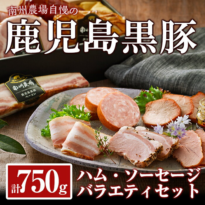 【ふるさと納税】 黒豚ハム・ソーセージバラエティセット 計750g［黒豚炭焼き焼豚 200g、黒豚モモハム...