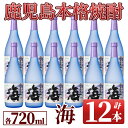 【ふるさと納税】海セット(720ml×12本)温泉水を使用し