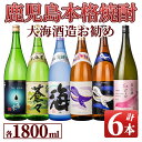 【ふるさと納税】大海酒造のオススメ焼酎(計6本・各1.8L)