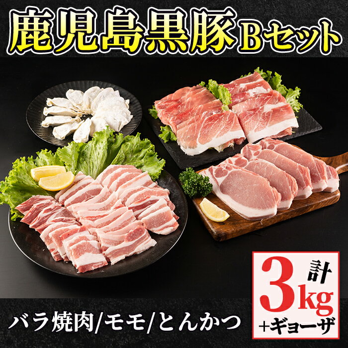 【ふるさと納税】鹿児島黒豚Bセット＋ギョーザ(計3kg+ギョーザ12個・バラ焼肉1kg、モモ1kg、とんかつ用1kg)自家農場で育てた自慢の豚肉をお届け【和田養豚】