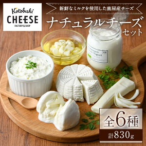 【ふるさと納税】チーズ 詰め合わせ kotobuki cheese ナチュラルチーズセット（モッツァ...