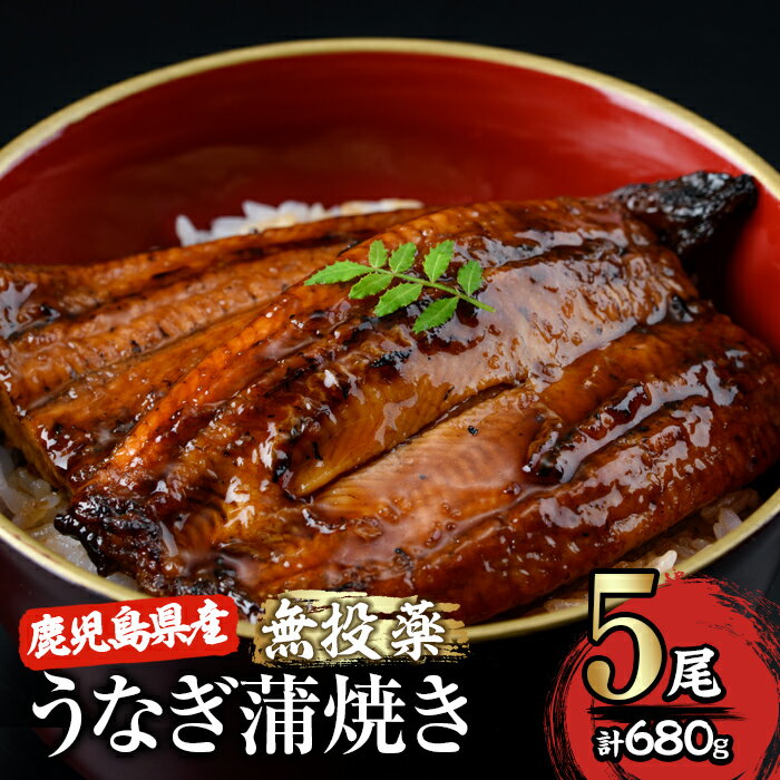 ＜国産＞ 鹿児島県大隅産！うなぎの蒲焼き5尾(計680g・136g×5尾)うなぎのたれ・山椒付き！無投薬にこだわり！鰻丼やひつまぶしにも！真空パックでお届け！