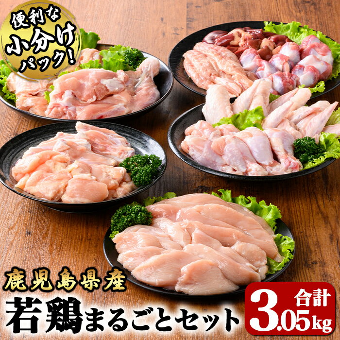 【ふるさと納税】若鶏まるごと3.05kgセット[モモ切身・ムネ切身・筋なしささみ・手羽元・チキンリブ・手羽先・砂肝・肝・肩肉・小肉・骨付モモ]国産 鹿児島県産 鶏肉 鶏 鳥肉 鶏もも 鶏むね 鶏ささみ 【株式会社 TRINITY】