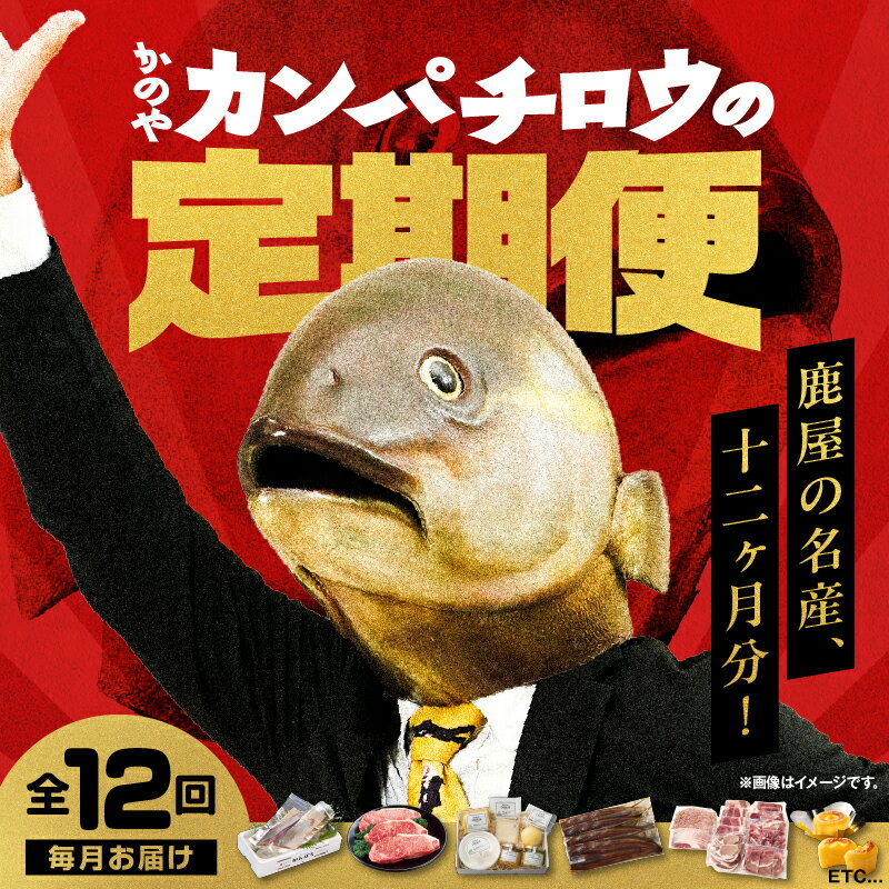 [全12回] 鹿屋カンパチロウ便 定期便 カンパチ 刺身 魚 チーズ 肉 牛 ステーキ 唐芋レアケーキ 豚 しゃぶしゃぶ ハム ソーセージ 鰻 蒲焼 マンゴー フルーツ 果物 鶏 もも スイーツ ケーキ 菓子 鹿児島 鹿屋市 おすすめ ランキング プレゼント ギフト
