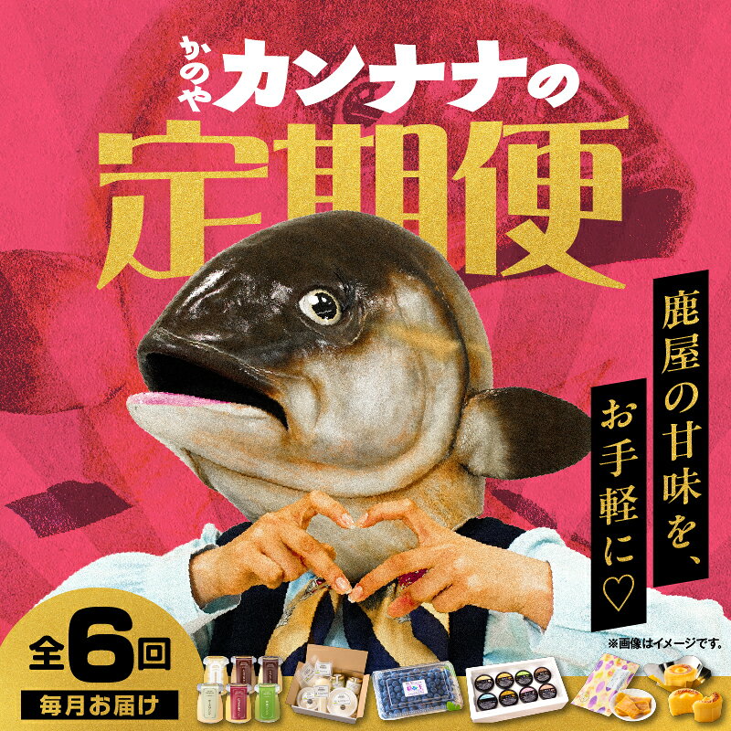 [全6回] 鹿屋カンナナ便 定期便 チーズ ヨーグルト ギリシャ プリン ブルーベリー 粒王 ジェラート アイス 干し芋 紅はるか 芋 フェスティバロ 唐芋レアケーキ スイーツ 菓子 デザート 冷凍 鹿児島 鹿屋市 おすすめ ランキング プレゼント ギフト