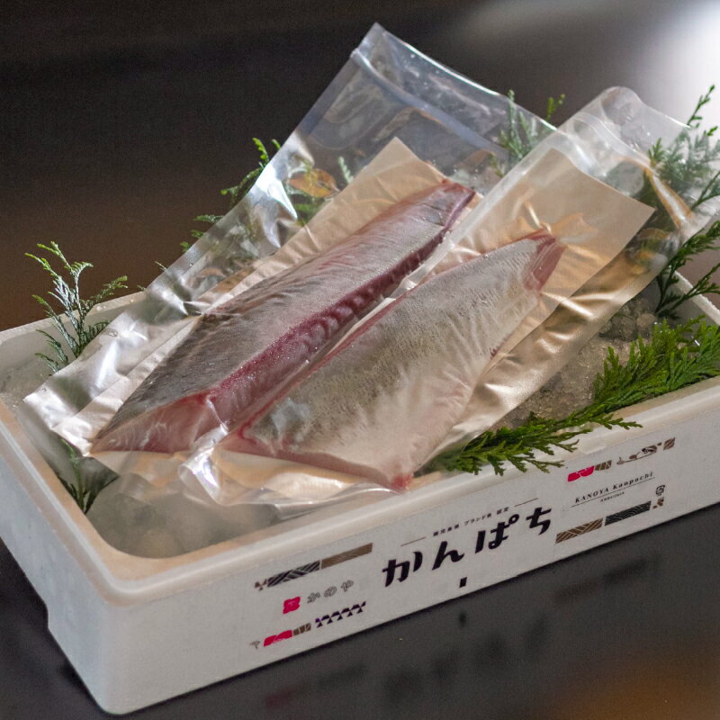 【ふるさと納税】【定期便 全3回】かのやカンパチ ロイン カマ入り かんぱち スキンレスロイン（骨・皮なし）×2柵 計700g かんぱち カマ 100g×1個 合計800g ×3回 総量2.4kg 鹿児島県産 国産 カンパチ かま 海産物 魚介 刺身【鹿屋市漁業協同組合】