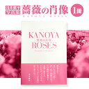 【ふるさと納税】浅井愼平写真集 薔薇の肖像 KANOYA ROSES 鹿屋 かのやばら園 バラ 薔薇 お花 写真集 NPO法人ローズリングかのや 鹿児島 鹿屋市...