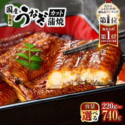 【ふるさと納税】総合ランキング 1位 獲得 <選べる>鹿児島県 大隅産 カット うなぎ 蒲焼 計220g〜520g 3枚〜7枚カット 鰻 惣菜 魚 うな重 鰻丼 土用の丑の日 冷凍 大隅地区養まん漁業協同組合 鹿児島 鹿屋市 おすすめ ランキング プレゼント ギフト - Image 1