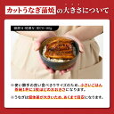 鹿児島県鹿屋市の画像3