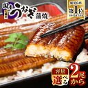 【ふるさと納税】高評価レビュー ☆4.69 鹿児島県大隅産うなぎ蒲焼 2尾 or 2尾(訳あり) or 4尾 or 5尾 or 6尾 or 8尾 or 20尾 ...