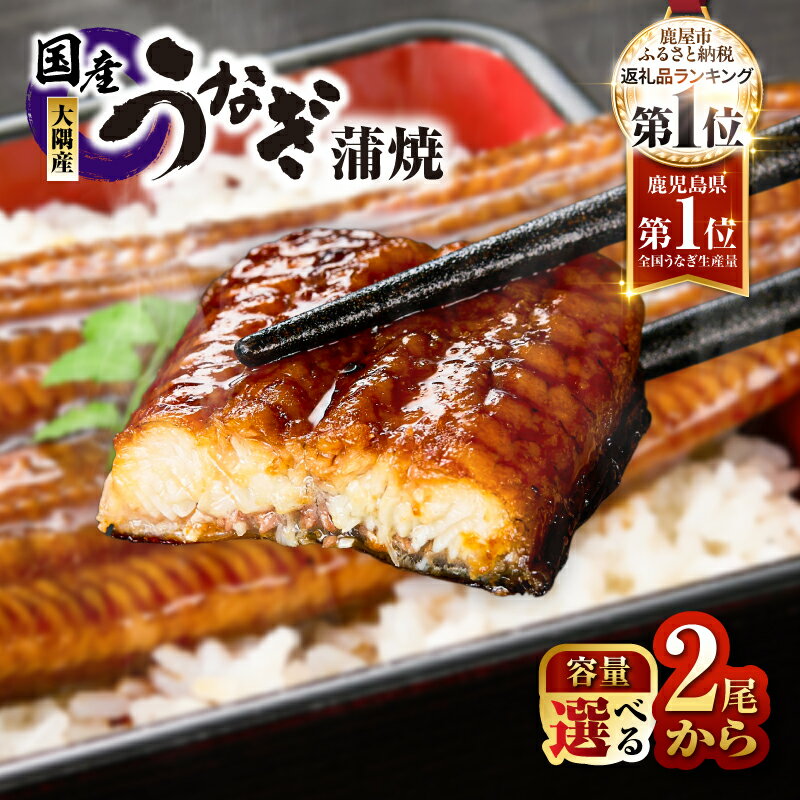 【ふるさと納税】【土用の丑の日特