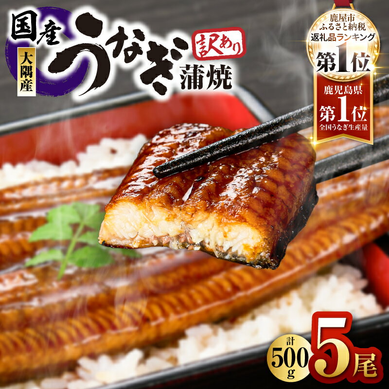 【ふるさと納税】【土用の丑の日特