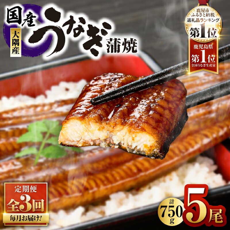 【ふるさと納税】 【定期便全3回・毎月1回お届け】 鹿児島県大隅産うなぎ蒲焼5尾(計750g・150g×5尾、たれ・山椒付き)×3ヶ月 ＜国産＞ 無頭 ウナギ 蒲焼き 真空パック 急速冷凍 鰻丼 鰻重 ひつまぶし うなぎ 蒲焼 鰻 【大隅地区養まん漁業協同組合】