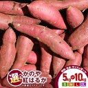 【ふるさと納税】<サイズと量が選べる>【先行予約】 かのや紅はるか 生芋 新芋 5kg or 10kg S 〜 2L 熟成 紅はるか さつまいも さつま芋 芋 ...