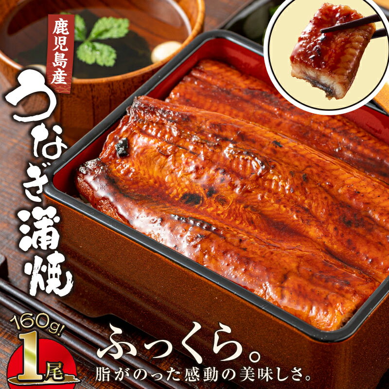 【ふるさと納税】【土用の丑の日特集】鹿児島産うなぎ160g×1尾 国産ウナギ 冷凍 真...
