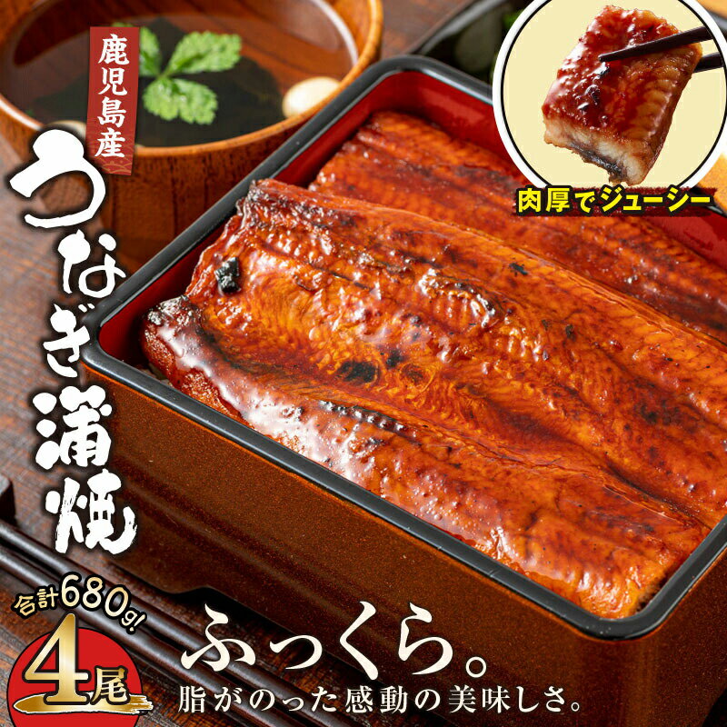 【ふるさと納税】【土用の丑の日特集】鹿児島産うなぎ170g×4尾 合計680g 国産ウナ...