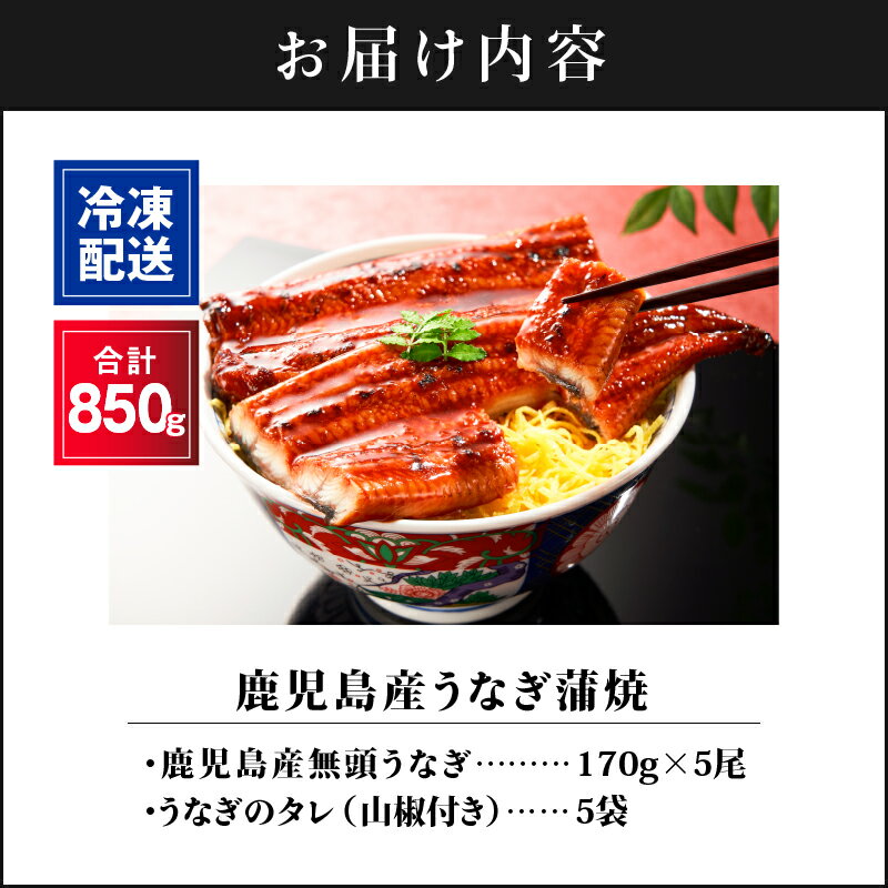 【ふるさと納税】【土用の丑の日特集】鹿児島産うなぎ170g×5尾 合計850g 国産ウナギ 冷凍 真空パック たれ付 山椒付き 鰻かば焼き うな重 ひつまぶし【財宝】
