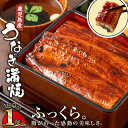 【ふるさと納税】鹿児島産うなぎ180g×1尾 清らかな地下水育ち!ふっくら、やわらか! 鹿児島産 鰻 ウナギ 蒲焼き 養殖 たれ付 真空パック 湯煎 レンジ 国産 鹿児島県 うな丼 ひつまぶし 【財宝】