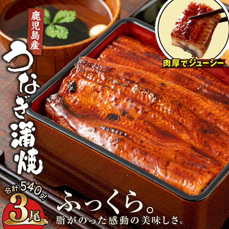 【ふるさと納税】【土用の丑の日特集】鹿児島産うなぎ180g×3尾 合計540g 国産ウナ...