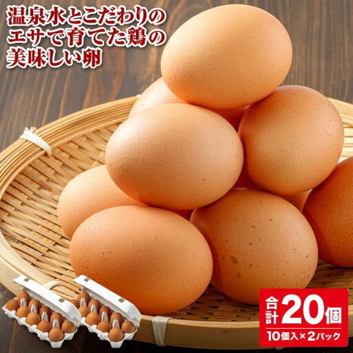 【ふるさと納税】卵 財寶温泉 生卵 20個 玉子 たまご タマゴ 卵焼き たまごかけ 家庭料理 鹿児島県 鹿屋市 破卵保障あり【財宝】 【ふるさと納税】卵 財寶温泉 生卵 20個 玉子 たまご タマゴ 卵焼き たまごかけ 家庭料理 鹿児島県 鹿屋市 破卵保障あり【財宝】