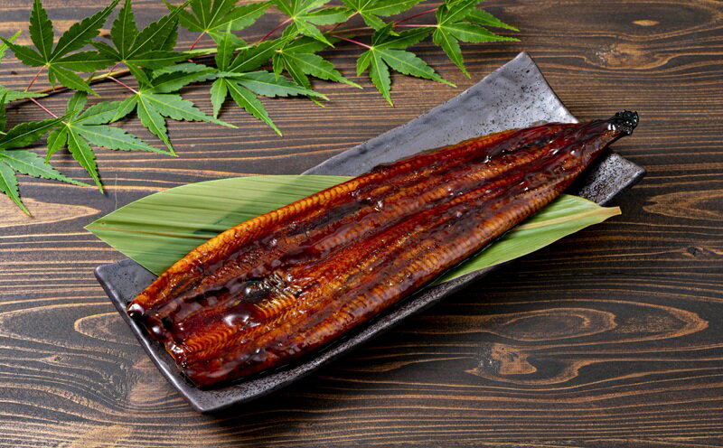 【ふるさと納税】【定期便全3回】 鹿児島産うなぎ蒲焼 約1kg 合計6尾(180g×2尾×3回) 鰻養殖日本一の鹿児島から直送する自慢のウナギ！湯煎・レンジで温めるだけの簡単調理！本格 うなぎ 鰻 蒲焼 鹿児島県 冷凍【財宝】