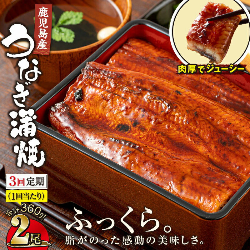 【ふるさと納税】【定期便全3回】 鹿児島産うなぎ蒲焼 約1kg 合計6尾(180g×2尾×3回) 鰻養殖日本一の鹿児島から直送する自慢のウナギ！湯煎・レンジで温めるだけの簡単調理！本格 うなぎ 鰻 蒲焼 鹿児島県 冷凍【財宝】のサムネイル