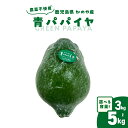 【ふるさと納税】<選べる> かのや産 青パパイヤ 約3kg or 約5kg 農薬不使用 パパイヤ スーパーフード 栄養 パパイン 酵素 健康 料理 スムージー ...