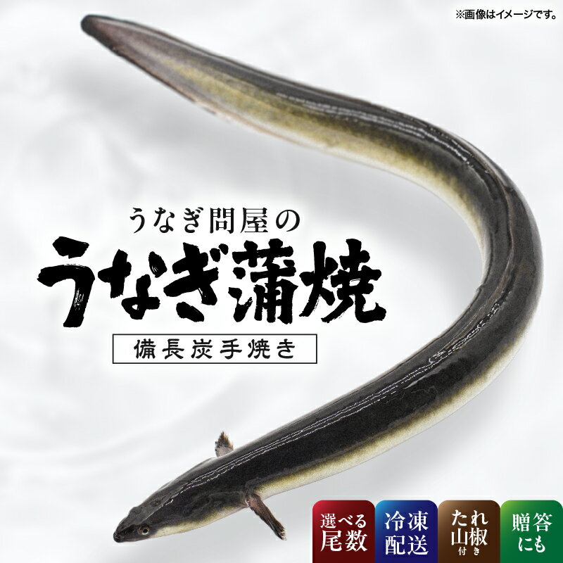 【ふるさと納税】＜選べる＞うなぎ問屋の備長炭手焼 うなぎ蒲焼 2尾～5尾 計300g～600g うなぎ ウナギ ..