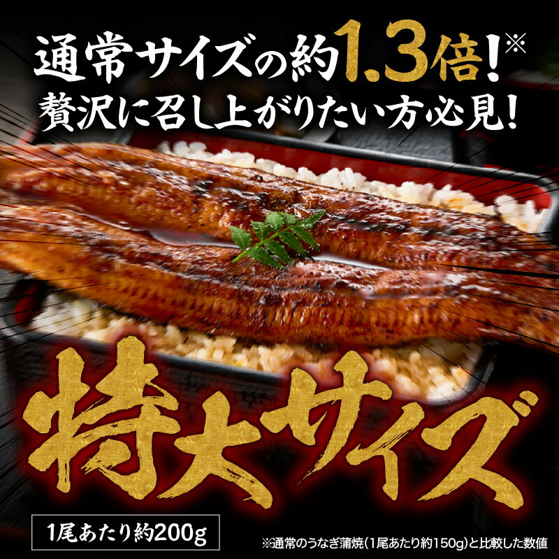 【ふるさと納税】＜選べる＞うなぎ問屋の備長炭手焼 うなぎ蒲焼 特大2尾 3尾 計400g 計660g 特製タレ 山椒付き うなぎ ウナギ 惣菜 総菜 魚類 魚貝類 魚介類 鰻重 ひつまぶし 鰻丼 土用の丑 魚 冷凍 大隅うなぎ販売 鹿児島 鹿屋市 おすすめ ランキング プレゼント ギフト