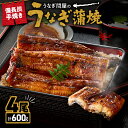 【ふるさと納税】【期間限定】うなぎ問屋の 備長炭手焼 うなぎ蒲焼 4尾 600g うなぎ ウナギ 鰻 蒲焼 惣菜 総菜 魚類 魚貝類 魚介類 海産物 鰻重 うな重 ひつまぶし 鰻丼 土用の丑 魚 冷凍 大隅うなぎ販売 ふるさと納税 鹿児島 鹿屋市 おすすめ ランキング プレゼント ギフト