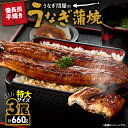 【ふるさと納税】【期間限定】うなぎ問屋 備長炭手焼 うなぎ蒲焼 特大3尾660g 特製タレ 山椒付き タレと炭の香り豊かな備長炭焼き鰻の蒲焼 惣菜 総菜 魚介類 鰻重 鰻丼 土用の丑 魚 冷凍 大隅うなぎ販売 ふるさと納税 鹿児島 鹿屋市 おすすめ ランキング プレゼント ギフト