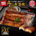 【ふるさと納税】 <国産> 訳あり ! うなぎ問屋の備長炭手焼き うなぎ蒲焼5尾(計500g) うなぎ 国産 鹿児島 鹿屋市 本格 鰻 ウナギ 蒲焼 冷凍 湯煎...