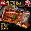 【ふるさと納税】 <国産> 訳あり ! うなぎ問屋の備長炭手焼き うなぎ蒲焼10尾(計1000g) うなぎ 国産 鹿児島 鹿屋市 本格 鰻 ウナギ 蒲焼 冷凍 ...
