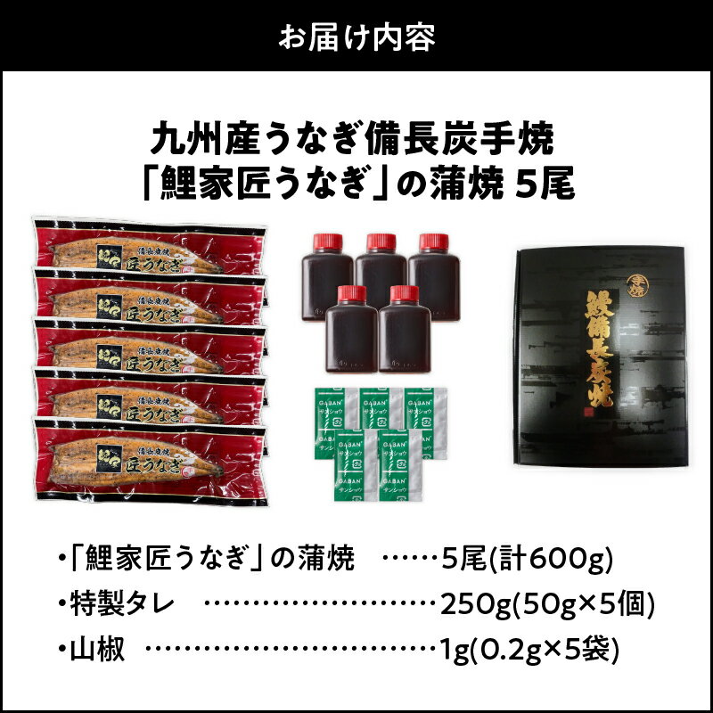 【ふるさと納税】【土用の丑の日特集】＜国産＞ 備長炭手焼 『鯉家匠うなぎ』うなぎの蒲焼 5尾セット計600g 特製タレ付き！タレと炭の香り豊かな備長炭焼き 鰻の蒲焼！ 鰻 ウナギ たれ付 真空パック 湯煎 レンジ 国産 うな丼 うな重 ひつまぶし【大隅うなぎ販売有限会社】