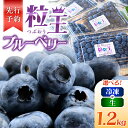 【ふるさと納税】【先行予約】<選べる> 粒王 ブルーベリー 1.2kg 冷凍 or 生 400g × 3P 粒が大きいものを厳選 ブルーベリー 果物 果実 フル...