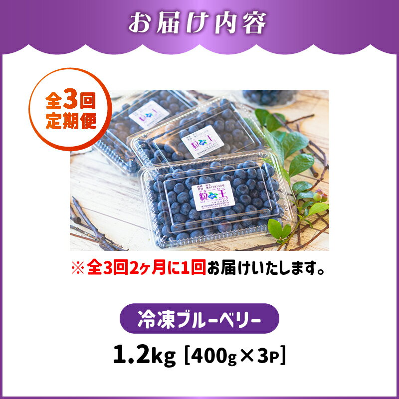 【ふるさと納税】【定期便3回・2ヶ月に1回発送】粒王　冷凍ブルーベリー 計3.6kg[400g×3P×3回]新鮮な甘みを急速冷凍で閉じ込めました！ 定期便 お楽しみ ブルーベリー 果物 フルーツ 無農薬 冷凍 冷凍保存 急速冷凍【ブルーベリー観光農園ワダ】