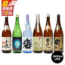 【ふるさと納税】【超特急便】【お急ぎ便】本格焼酎飲み比べ(計6本・各1.8L)瀞とろ・小鹿 本にごり・小鹿 白・小鹿 黒・一番雫・海!地元で愛飲されている本格焼酎セット【酒 あさくら】