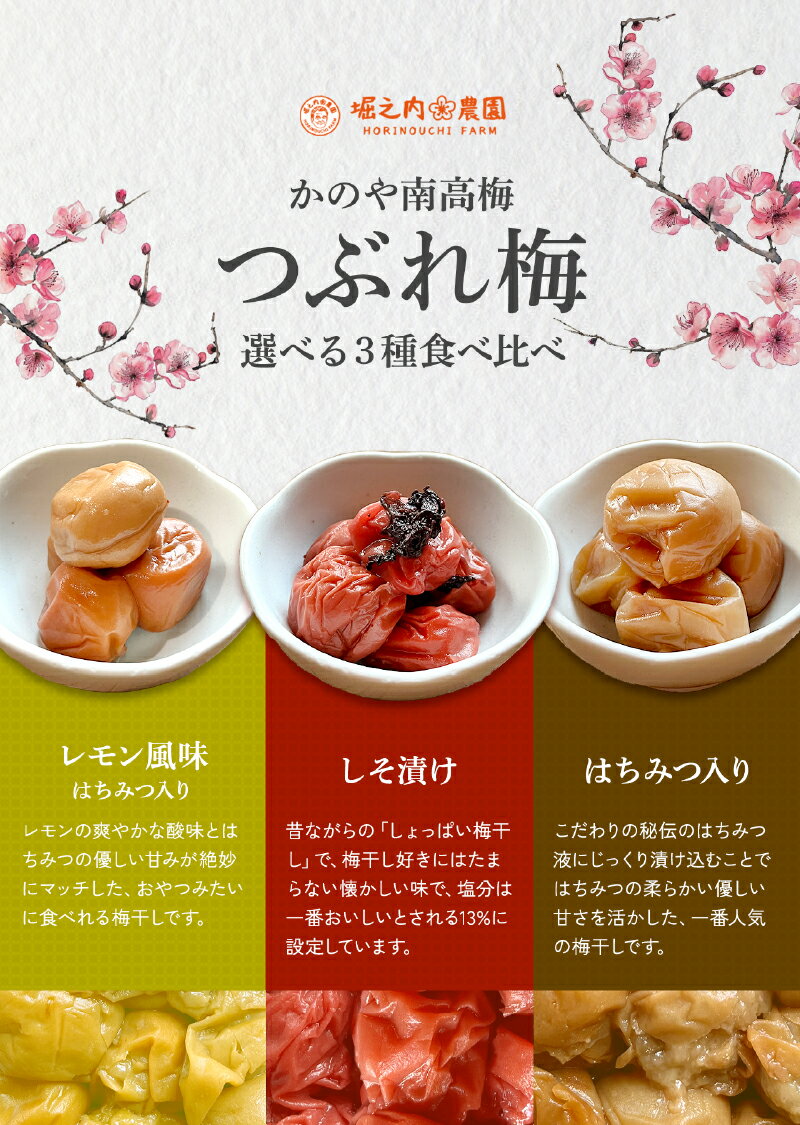【ふるさと納税】選べる＜訳あり＞ つぶれ梅 梅干し かのや南高梅 食べ比べ 梅 国産 鹿児島県産 小分け 天然 梅干し うめぼし ハチミツ 蜂蜜 シソ しそ レモン風味【有限会社堀之内農園】
