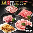 【ふるさと納税】黒豚バラエティセット1.6kg&黒豚ギョーザセット(黒豚肩ロースしゃぶしゃぶ用400g、黒豚バラ焼肉400g、黒豚もも400g、黒豚とんかつ400g、黒豚ギョーザ72個) 自家農場で育てた自慢の豚肉をお届け【和田養豚】