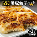 【ふるさと納税】鹿児島黒豚餃子(12個入10パック)自家農場で育てた自慢の黒豚を使ったジューシー餃子【和田養豚】