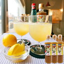 【ふるさと納税】【数量限定】万能生姜シロップ合計960ml(320ml×3本入) 鹿屋産の有機生姜と奄美の砂糖、希少糖を使った手作りのしょうがシロップ【マーケティングビー】